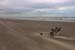 Galveston Island SP, Tx., c. 2006-12 (Canon 10D, ISO: 100, 37mm, 1/431 at F8.0)